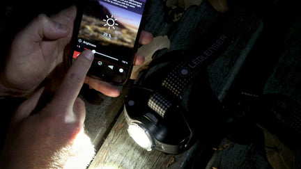 MH11 Blue Headlamp